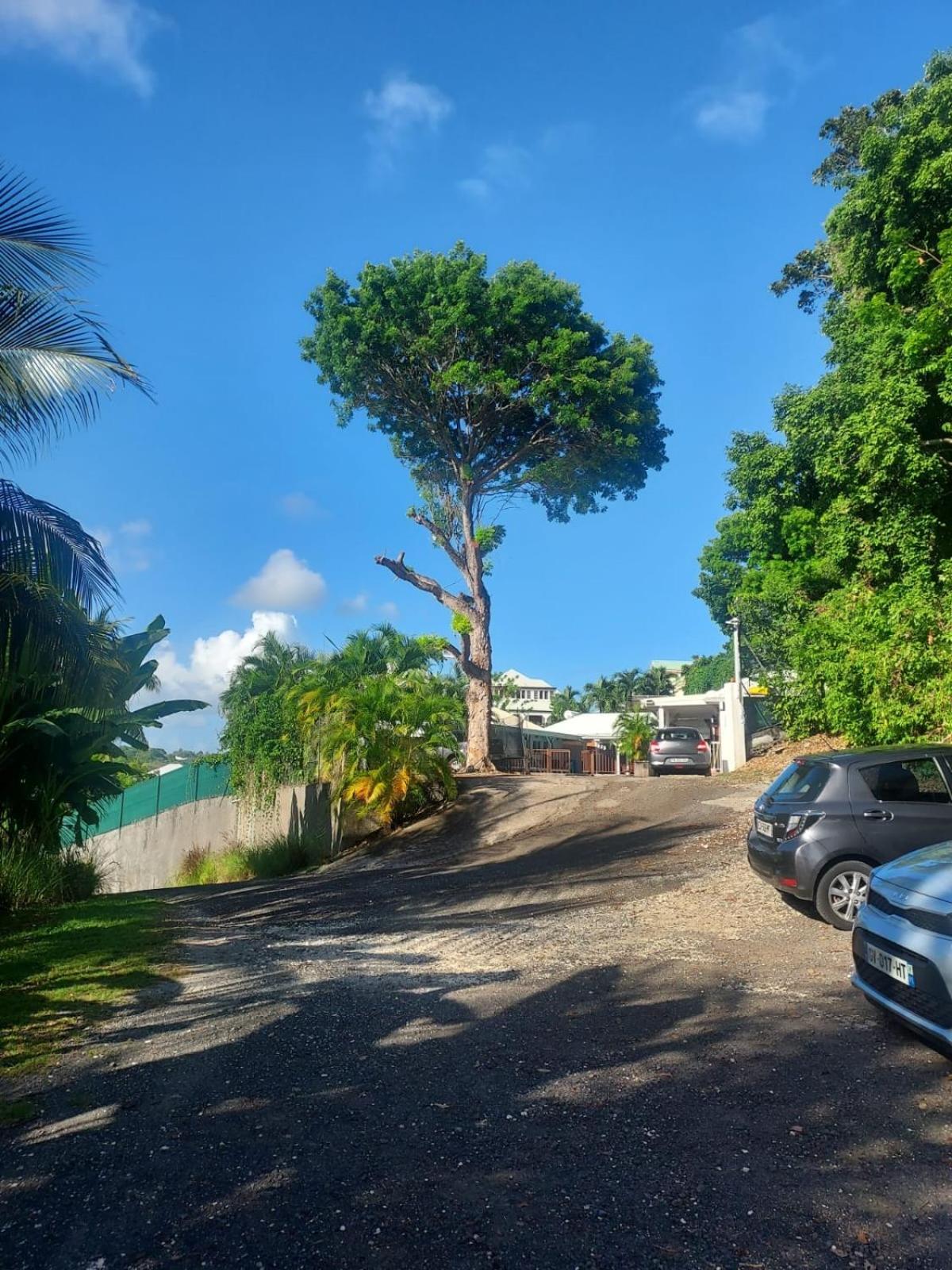 ル・ゴジエLocation Dampierreアパートメント エクステリア 写真